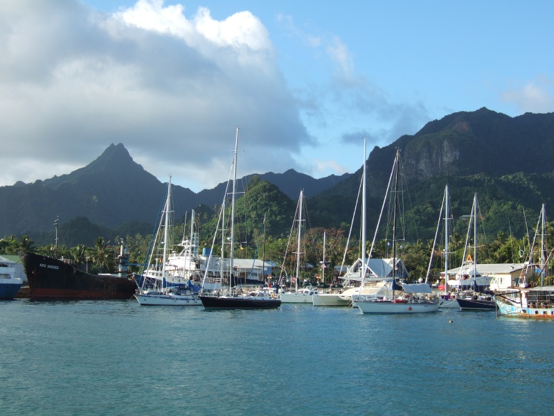 Everyone's cuddled in tight.